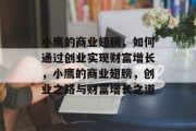 小鹰的商业翅膀，如何通过创业实现财富增长，小鹰的商业翅膀，创业之路与财富增长之道
