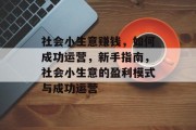 社会小生意赚钱，如何成功运营，新手指南，社会小生意的盈利模式与成功运营