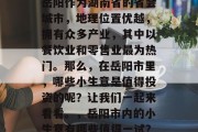 岳阳作为湖南省的省会城市，地理位置优越，拥有众多产业，其中以餐饮业和零售业最为热门。那么，在岳阳市里，哪些小生意是值得投资的呢？让我们一起来看看。，岳阳市内的小生意有哪些值得一试？