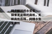 网上赚钱的小生意——探索无止境的商机，无限商机在线，网赚小生意探析