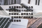 关于需要投资什么小生意好赚钱这个问题的分析和建议，盈利潜力高、市场前景广阔的优质小生意推荐