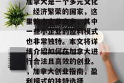 加拿大是一个多元文化、经济繁荣的国家，这里的小企业众多，其中一些小企业的盈利模式也非常独特。本文将详细介绍如何在加拿大进行合法且高效的创业。，加拿大创业指南，盈利模式的独特选择