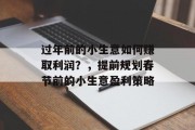 过年前的小生意如何赚取利润？，提前规划春节前的小生意盈利策略