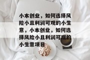 小本创业，如何选择风险小且利润可观的小生意，小本创业，如何选择风险小且利润可观的小生意项目