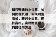 新兴赚钱的小生意，如何把握机遇，实现财富增长，新兴小生意，抓住商机，实现财富增长的路径与方法
