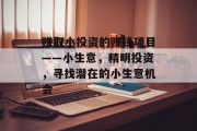 赚取小投资的赚钱项目——小生意，精明投资，寻找潜在的小生意机会