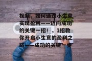 视频，如何通过小生意实现盈利——迈向成功的关键一招！，1招教你开启小生意的盈利之路——成功的关键一步
