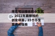 现在可以赚钱的小生意，2022年最赚钱的创业项目，15个小生意速成指南