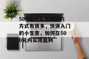 500元小生意赚钱的方式有很多，快速入门的小生意，如何在500元内实现盈利
