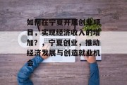 如何在宁夏开展创业项目，实现经济收入的增加？，宁夏创业，推动经济发展与创造就业机会