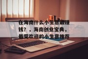 在海南什么小生意最赚钱？，海南创业宝典，最受欢迎的小生意推荐