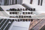 今年，为什么做小生意能赚钱？，抓住商机，2022年创业好时机分析与盈利策略分享