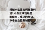 揭秘小生意如何赚取利润: 小企业成功经营的秘密，成功的秘诀，中小企业盈利秘籍