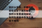 农村小生意，不赚钱的却也生存下来的秘密，农村小生意成功秘诀，如何在艰难中存活下来而不赚钱