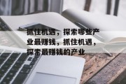 抓住机遇，探索哪些产业最赚钱，抓住机遇，探索最赚钱的产业