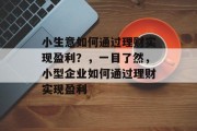 小生意如何通过理财实现盈利？，一目了然，小型企业如何通过理财实现盈利