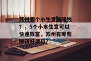 苏州哪个小生意最赚钱？，5个小本生意可以快速致富，苏州有哪些赚钱好项目?