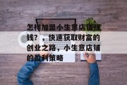怎样加盟小生意店铺赚钱？，快速获取财富的创业之路，小生意店铺的盈利策略