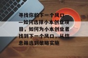 寻找你的下一个风口——如何选择小本创业项目，如何为小本创业者找到下一个风口，从信息筛选到策略实施