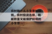 农村做什么小生意能赚钱，农村投资选择，既能致富又能保护环境的小生意
