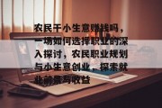 农民干小生意赚钱吗，一场如何选择职业的深入探讨，农民职业规划与小生意创业，探索就业前景与收益