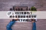 现代小生意，什么赚钱？，2023年最热门的小生意创业项目分析，新时代下的新兴商机
