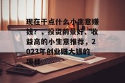 现在干点什么小生意赚钱？，投资前景好、收益高的小生意推荐，2023年创业赚大钱的项目