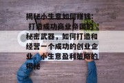 揭秘小生意如何赚钱: 打造成功商业帝国的秘密武器，如何打造和经营一个成功的创业企业，小生意盈利策略的揭秘
