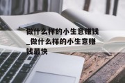 做什么样的小生意赚钱_做什么样的小生意赚钱最快
