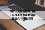 农村小生意的赚钱门路，农村小生意盈利指南，精选几个赚钱门路