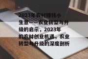2023年农村赚钱小生意——农业转型与升级的启示，2023年的农村创业机遇，农业转型与升级的深度剖析