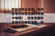 开启你的小生意，如何在当今快速发展的市场中赚钱？，快速发展的市场中的赚钱策略，创业的小技巧