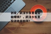创业，武汉小生意是否能赚钱？，武汉小生意投资收益如何？