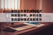 乡村小生意的盈利模式和前景分析，乡村小生意的盈利模式及前景分析