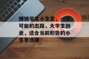 赚钱学生小生意，一个可能的出路，大学生创业，适合当前形势的小生意选择