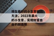 现在最好的小生意赚钱方法，2022年最火的小生意，实现财富自由的新选择