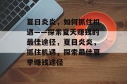 夏日炎炎，如何抓住机遇——探索夏天赚钱的最佳途径，夏日炎炎，抓住机遇，探索最佳夏季赚钱途径