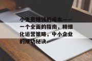 小生意赚钱的成本——一个全面的指南，精细化运营策略，中小企业的成功秘诀