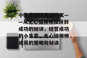 小生意赚钱天经地义——从无心插柳柳成荫到成功的秘诀，经营成功的小生意，无心插柳柳成荫的策略和秘诀