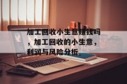 加工回收小生意赚钱吗，加工回收的小生意，利润与风险分析