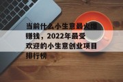 当前什么小生意最火爆赚钱，2022年最受欢迎的小生意创业项目排行榜