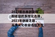 2023年小本创业赚取收益的多样化选择，2023年创业之路，从多元化收益选择出发