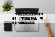 下乡做什么小生意赚钱好？，下基层创业，哪些行业值得尝试