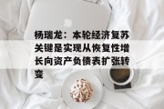 杨瑞龙：本轮经济复苏关键是实现从恢复性增长向资产负债表扩张转变