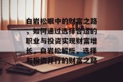 白岩松眼中的财富之路，如何通过选择合适的职业与投资实现财富增长，白岩松解析，选择与投资并行的财富之路