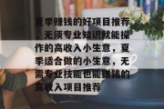 夏季赚钱的好项目推荐，无须专业知识就能操作的高收入小生意，夏季适合做的小生意，无需专业技能也能赚钱的高收入项目推荐
