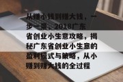 从赚小钱到赚大钱，一步一景，2018广东省创业小生意攻略，揭秘广东省创业小生意的盈利模式与策略，从小赚到赚大钱的全过程