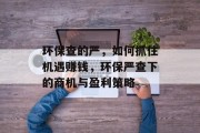 环保查的严，如何抓住机遇赚钱，环保严查下的商机与盈利策略