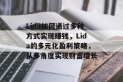 Lida如何通过多种方式实现赚钱，Lida的多元化盈利策略，从多角度实现财富增长