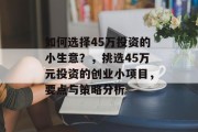 如何选择45万投资的小生意？，挑选45万元投资的创业小项目，要点与策略分析